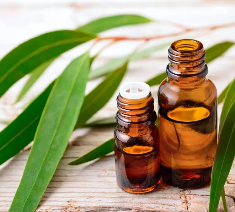 "Refresh & Cool" My Store